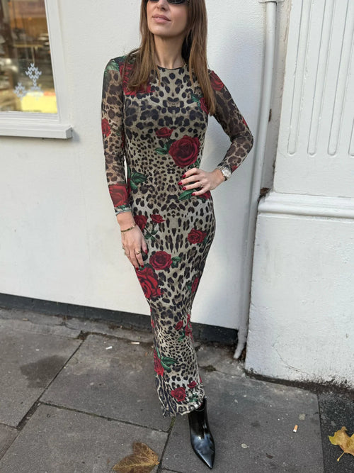 Libby Loves Cici Mesh Dress