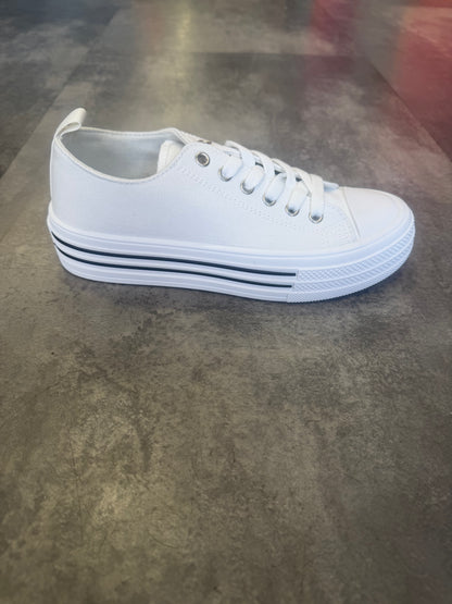 Carly Trainer